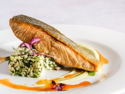 Salmon
